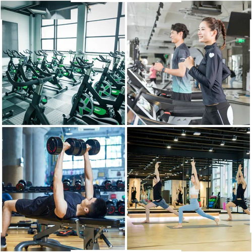 新律动 新感觉 开启健康生活新篇章，健身年卡限时抢购