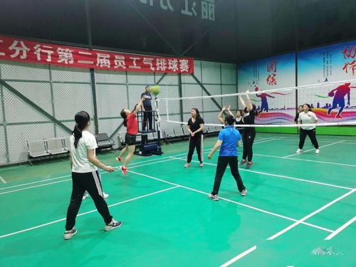 丽江分局积极参与气排球比赛，共筑健康生活新风尚