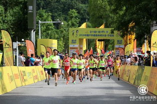 动起来，才能达到更好的诗和远方——记一场台球活动的启示