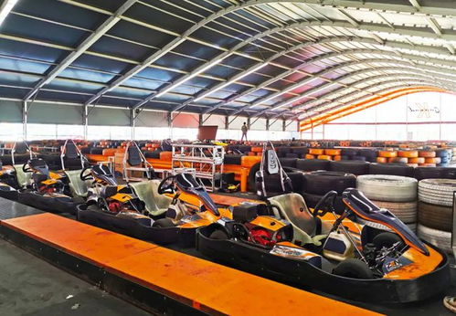 月亮岛新晋网红打卡地，台球热潮点燃岛屿新活力